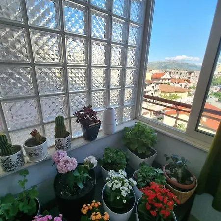 Perla * Shkodër